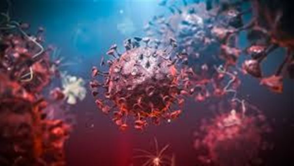 فيروس كورونا