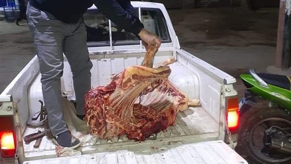 اللحوم الفاسدة