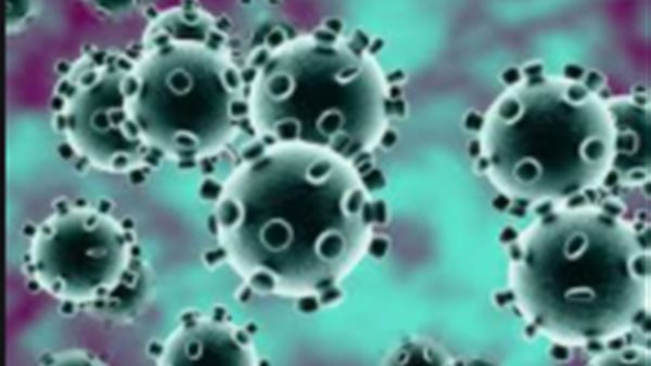 فيروس كورونا