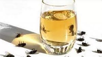 حبوب القرنفل والحمضيات.. أبرز طرق التخلص من الذباب