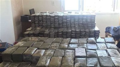 القبض على 6 أشخاص وبحوزتهم 320 طربة حشيش بالبحيرة