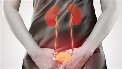 وقاية 9 سنوات.. لقاح جديد لعدوى المسالك البولية عن طريق الفم يقلب الموازين