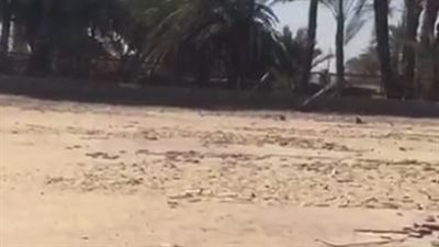 الإهمال يضرب مركز شباب قرية أبو زعفة بمحافظة الأقصر (فيديو)