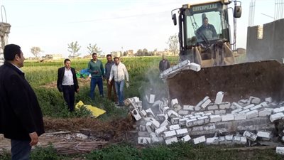إزالة 26 حالة تعد على الأراضي الزراعية في البحيرة (صور)