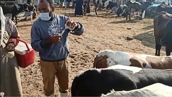 جانب من التطعيم