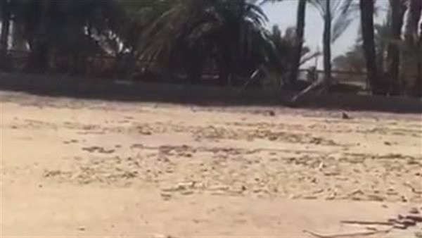 الإهمال يضرب مركز شباب قرية أبو زعفة بمحافظة الأقصر (فيديو)