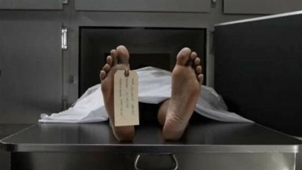 طبيبة السلام أرشيفية