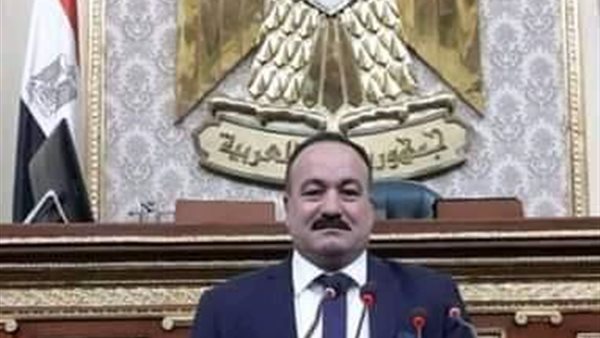  النائب أيمن شكرى