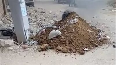 على طريقة لصوص لكن ظرفاء.. طلاب يسرقون كابلات أعمدة إنارة بمحيط مدرسة بالمحلة | فيديو 