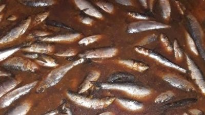 ضبط 600 كيلو أسماك منتهية الصلاحية وغير صالحة للاستخدام الآدمي بالمنوفية