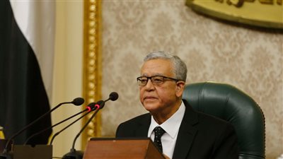 رئيس النواب: مصر بذلت جهدا كبيرا لمكافحة الهجرة غير الشرعية | فيديو 