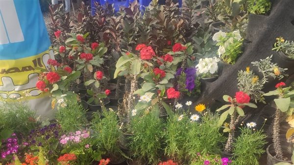 معرض الزهور 2021