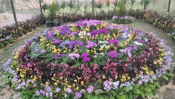 معرض زهور الربيع