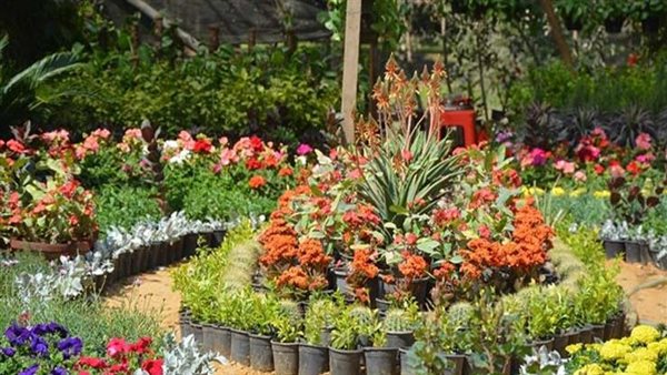 معرض الزهور