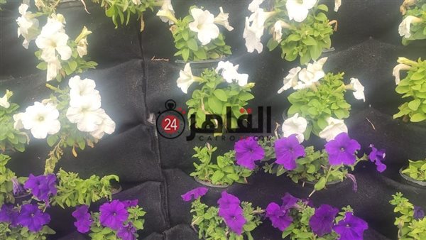 معرض الزهور