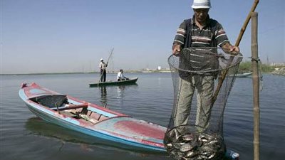 الثروة السمكية تستجيب لمطالب صيادي بحيرة مريوط لتخصيص نباتات طبيعية للجوابي (صور)