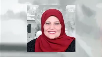 برلمانية تتقدم بطلب إحاطة لرئيس الوزراء بشأن معارض السيارات بالأقصر