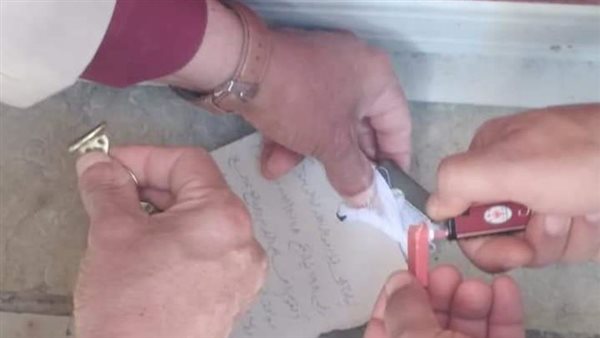 تشميع صيدلية