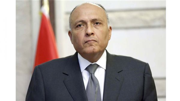 وزير الخارجية 