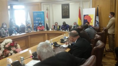 الرئيس السيسي يرسل وفدًا وزاريًا إلى غينيا لبحث التعاون التجاري 