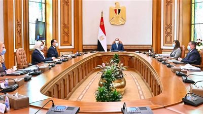 مجلس الوزراء يستعرض الخطة التنفيذية المقترحة للمشروع القومي لتنمية الأسرة المصرية