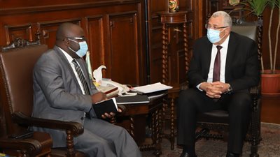 القصير يؤكد على توجيهات الرئيس بتقديم الدعم للأشقاء الأفارقة 