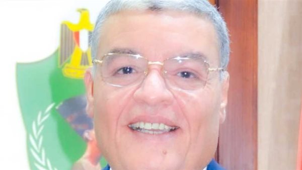 محافظ المنيا