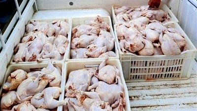 ضبط 210 كيلو دواجن غير صالحة للاستخدام الآدمي بمحل شهير في حدائق الأهرام