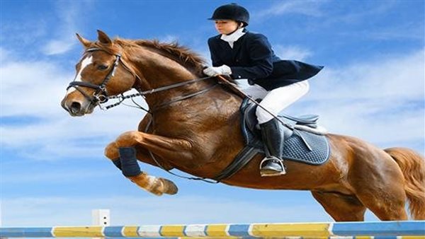 مسابقات للخيل 