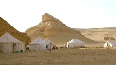 الحكومة توافق على تعاقد 