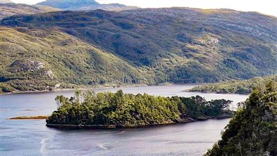 شركة مزادات تطرح بيع جزيرة اسكتلندية تضم 11 فدانًا بـ112 ألف دولار 