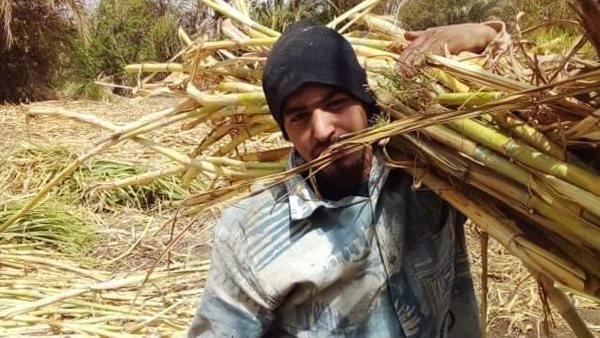 طالب في طب بقنا