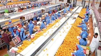 الزراعة تعلن ارتفاع الصادرات الزراعية لـ 2.7 مليون طن بالربع الأول من 2025