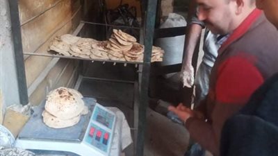 تحرير 11 مخالفة تموينية في المنيا