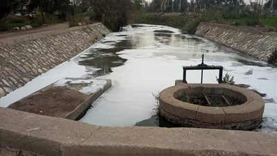 تجدد ظاهرة الرغاوي البيضاء بترعة بحر سيف بالغربية.. والمحافظ يشكل لجنة من البيئة