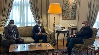 شكري يبحث جهود تطوير التعاون الثنائي مع مسئولَيْن صوماليَّيْن