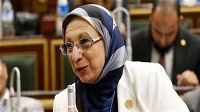 برلمانية عن بيان مجلس الأمن: يتحرك في الاتجاه للطريق الصحيح الذي ترغبه مصر