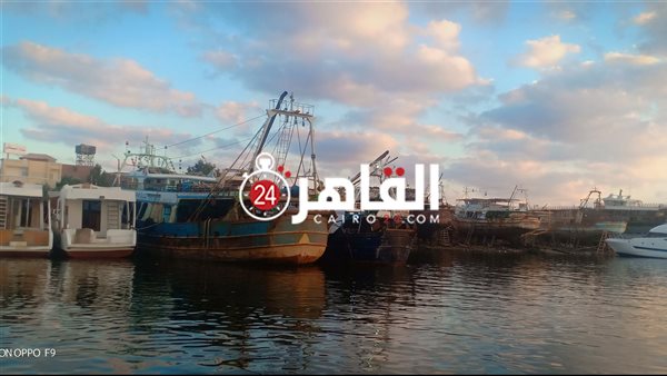 فتح بوغاز عزبة البرج