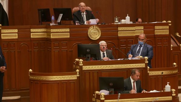 مجلس الشيوخ 