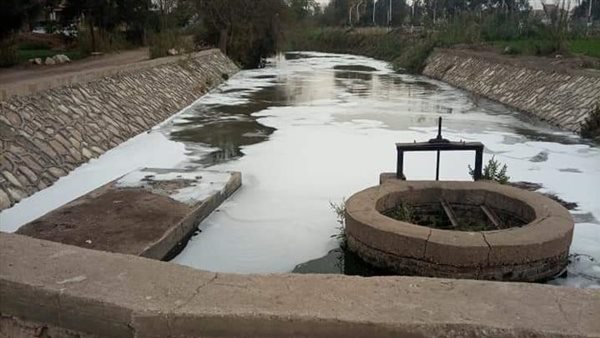 تجدد ظاهرة الرغاوي