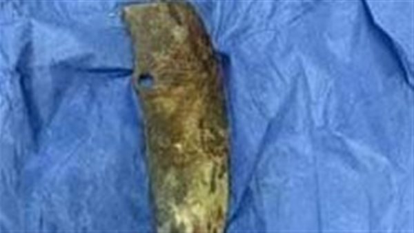 ساطور الجريمة