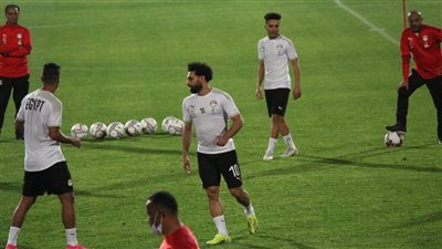 سفير مصر بكينيا: هناك اهتمام إعلامي خاص بمنتخب مصر