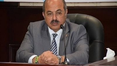 هشام حطب: سعداء بما قدمته البعثة المصرية في طوكيو.. ونشكر الرئيس السيسي