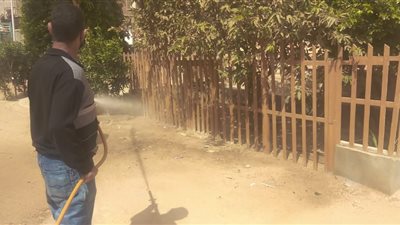 بدء أعمال مكافحة الحشرات الضارة والقوارض والثعابين والعقارب في رأس غارب (صور)