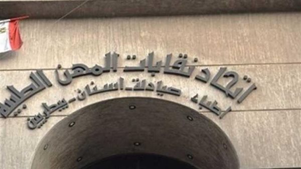 اتحاد نقابات المهن