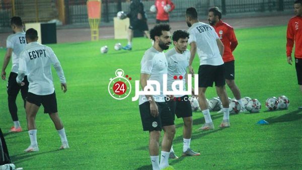 القاهرة 24