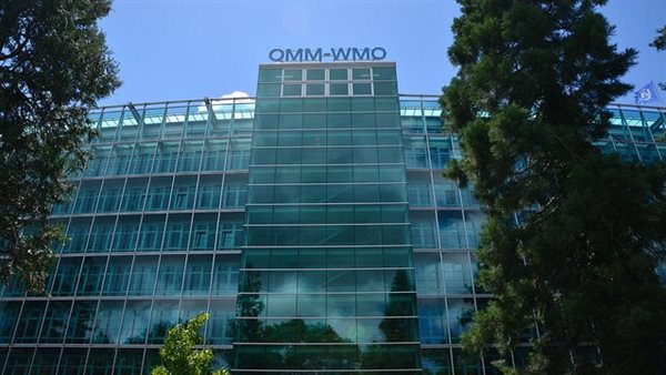 المنظمة العالمية