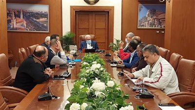 بعد فحص 43 حالة.. ضبط 5 مخالفات ممارسة نشاط بجمارك بورسعيد