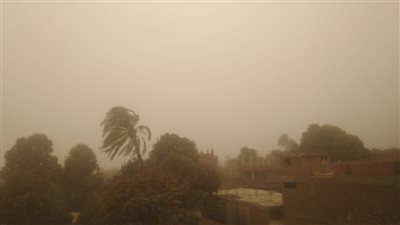 الجيزة تحذِّر المواطنين من العاصفة الترابية.. وتوجه عدة نصائح للتعامل معها