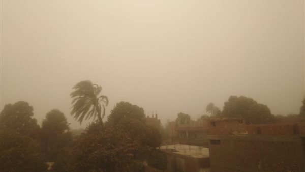 جانب من العاصفة